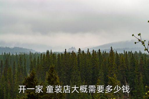开一家 童装店大概需要多少钱