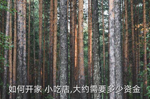 如何开家 小吃店,大约需要多少资金
