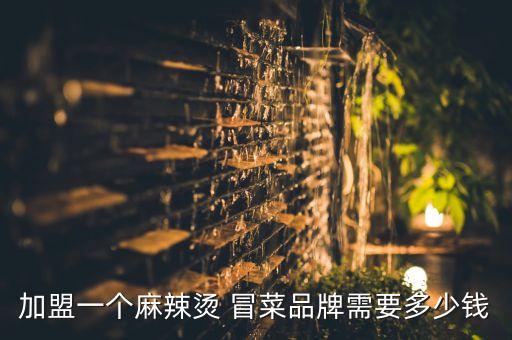 加盟一个麻辣烫 冒菜品牌需要多少钱