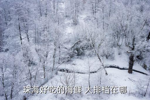 珠海好吃的海鲜 大排档在哪