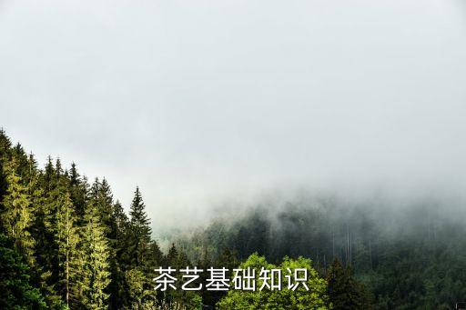 茶艺基础知识