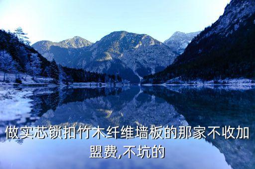 做实芯锁扣竹木纤维墙板的那家不收加盟费,不坑的