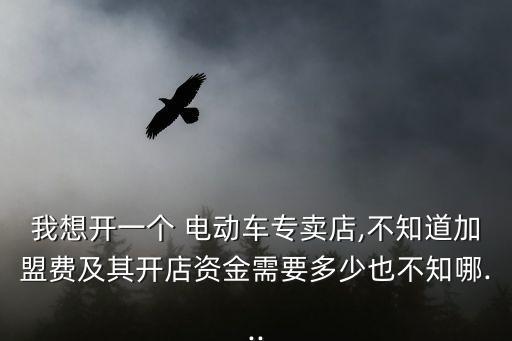 我想开一个 电动车专卖店,不知道加盟费及其开店资金需要多少也不知哪...