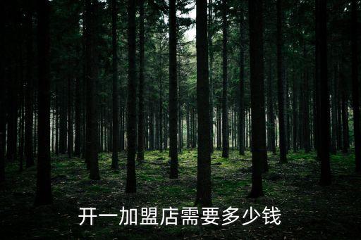 开一加盟店需要多少钱