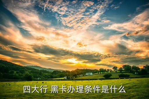 四大行 黑卡办理条件是什么
