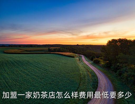 加盟一家奶茶店怎么样费用最低要多少