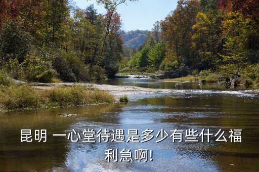  昆明 一心堂待遇是多少有些什么福利急啊!