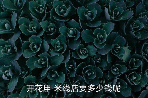 开花甲 米线店要多少钱呢