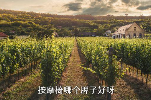 西安按摩垫加盟费用,共享按摩垫加盟