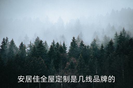 安居佳全屋定制是几线品牌的