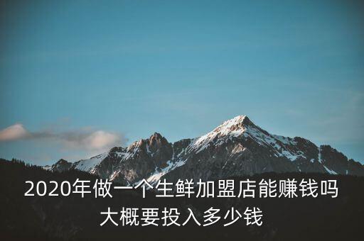 2020年做一个生鲜加盟店能赚钱吗大概要投入多少钱