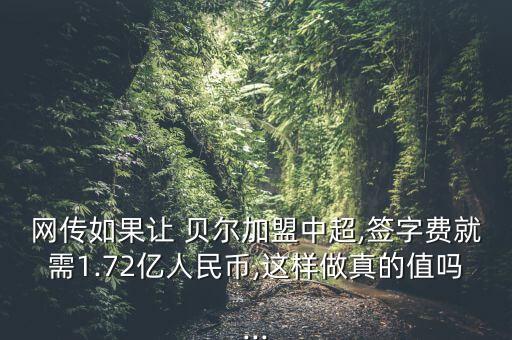 苏宁贝尔加盟费,贝尔为什么没来苏宁