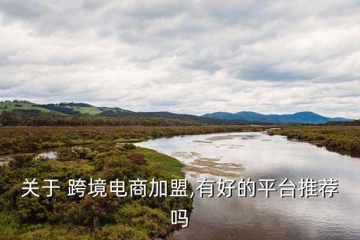 跨境直购加盟费多少,跨境电商加盟费多少