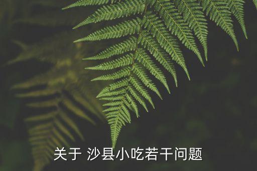 关于 沙县小吃若干问题