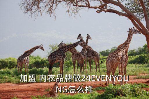 加盟 内衣品牌做24EVENYOUNG怎么样
