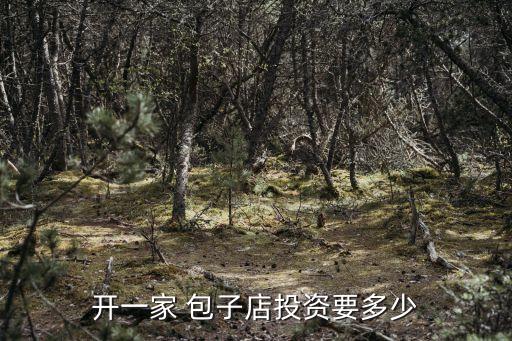 公平美食包子加盟费多少