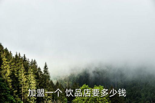 九台区竖正饮品加盟费用