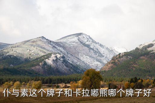 朴与素河南童装加盟费多少,河南大小孩童装加盟费多少