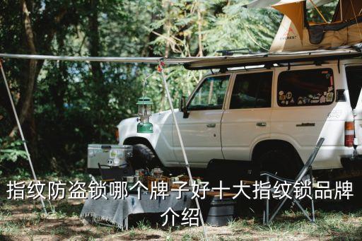 指纹防盗锁哪个牌子好十大指纹锁品牌介绍