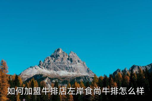 合肥牛扒面加盟费多少,拾号牛扒加盟费多少