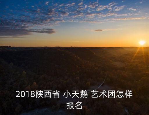 2018陕西省 小天鹅 艺术团怎样报名