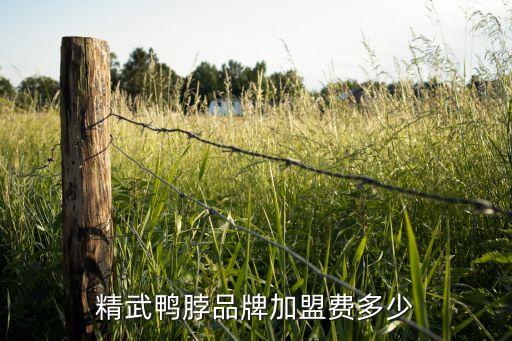 辣小鸭鸭脖加盟费用,绝小鸭鸭脖加盟