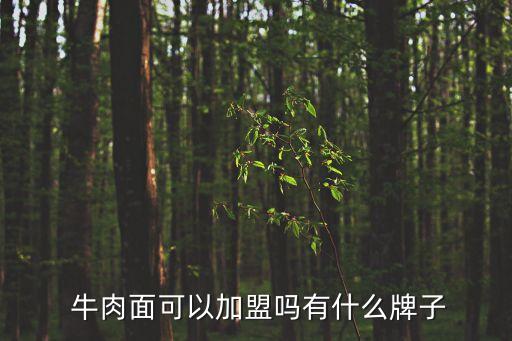 河南牛肉面加盟费哪个靠谱