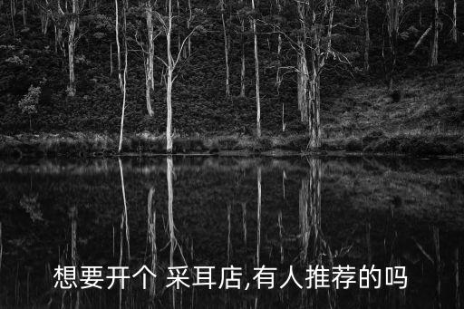 想要开个 采耳店,有人推荐的吗