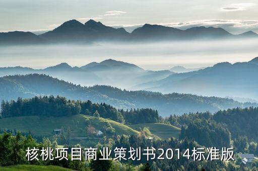  核桃项目商业策划书2014标准版