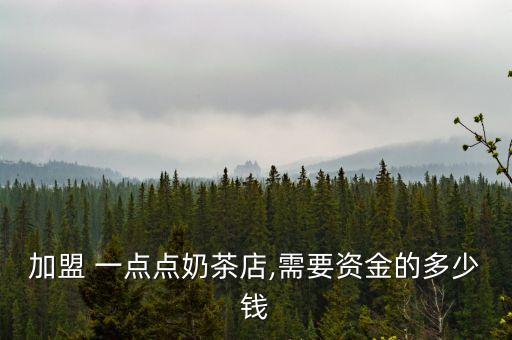 加盟 一点点奶茶店,需要资金的多少钱