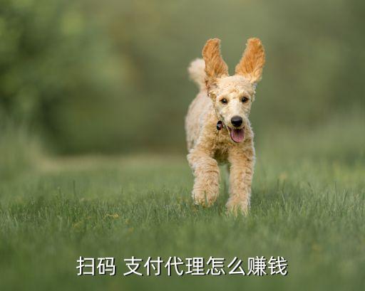 扫码 支付代理怎么赚钱