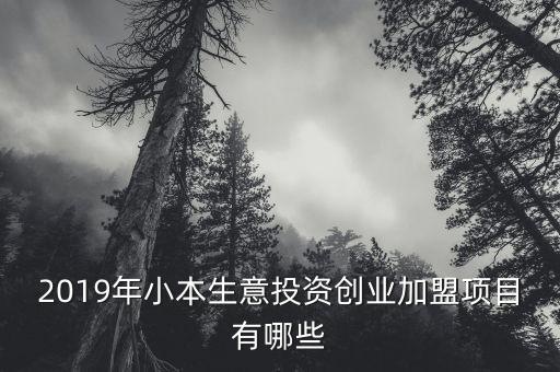 2019年小本生意投资创业加盟项目有哪些