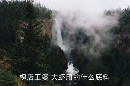 槐店王婆 大虾用的什么底料