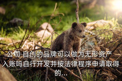 公司 自创的品牌可以做为无形资产 入账吗自行开发并按法律程序申请取得的...