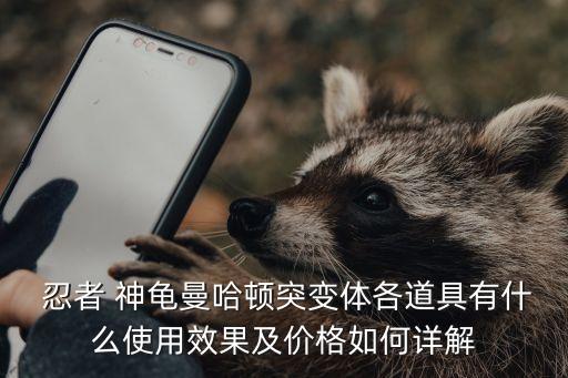  忍者 神龟曼哈顿突变体各道具有什么使用效果及价格如何详解