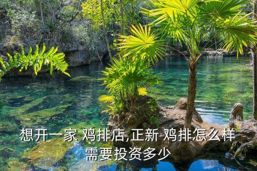 想开一家 鸡排店,正新 鸡排怎么样需要投资多少