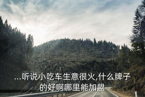 ...听说小吃车生意很火,什么牌子的好啊哪里能加盟