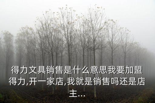 得力网店加盟费用多少,得力文具网店加盟条件