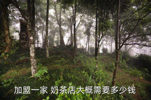 加盟一家 奶茶店大概需要多少钱