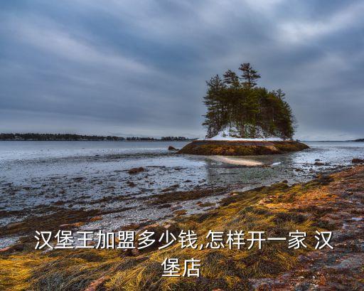  汉堡王加盟多少钱,怎样开一家 汉堡店