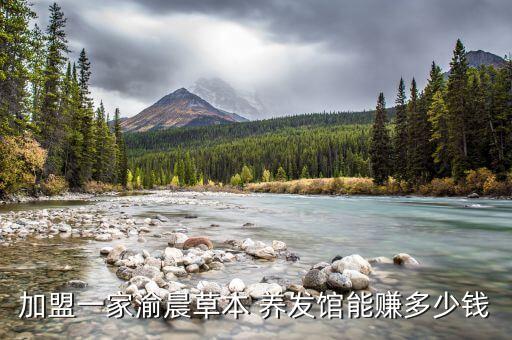 加盟一家渝晨草本 养发馆能赚多少钱