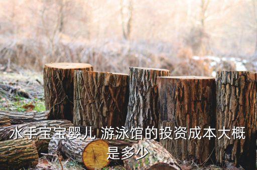 水手宝宝婴儿 游泳馆的投资成本大概是多少