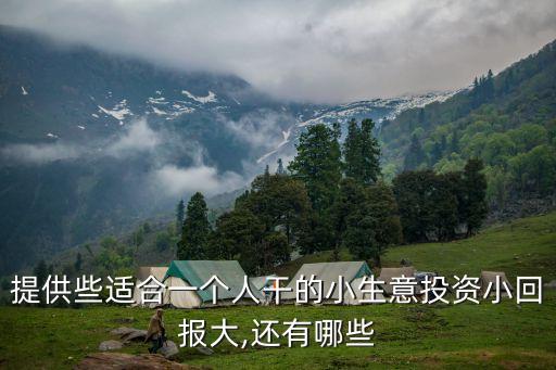 提供些适合一个人干的小生意投资小回报大,还有哪些
