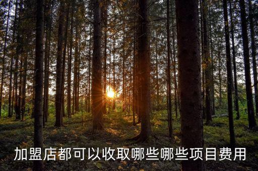  加盟店都可以收取哪些哪些项目费用