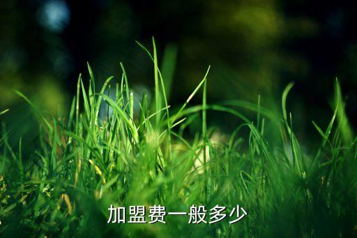 加盟费一般多少