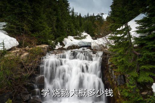 学 烧鹅大概多少钱