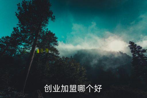 创业加盟哪个好