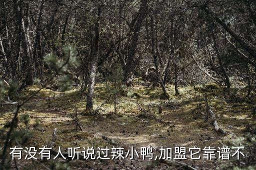 有没有人听说过辣小鸭,加盟它靠谱不