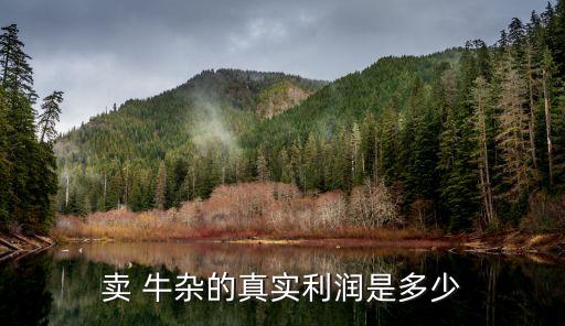 卖 牛杂的真实利润是多少