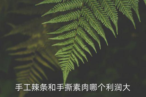 手工辣条和手撕素肉哪个利润大